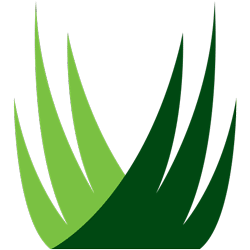 image of synlawn el paso icon