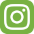 instagram-logo-grn